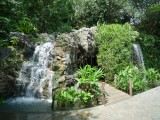 Botanic Gardens