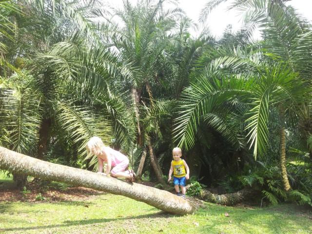 Botanic Gardens