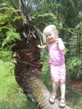 Botanic Gardens