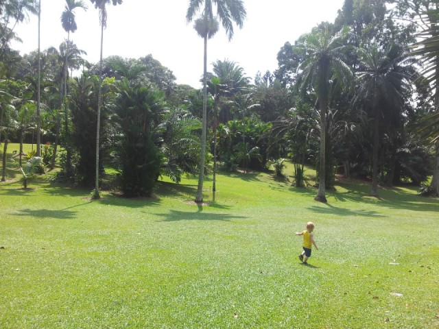 Botanic Gardens