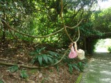 Botanic Gardens