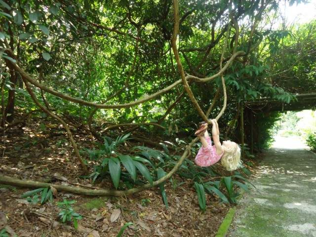 Botanic Gardens