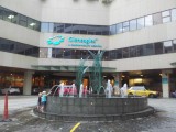 Gleneagles Hospital