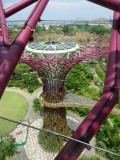 Garden by the Bay - Boven in een supertree