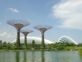 Gardens by the Bay