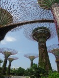 Gardens by the Bay - Supertree's