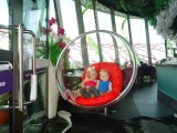 Gardens by the Bay- Boven in een supertree