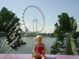 Gardens by the Bay - Zicht op Singapore Flyer