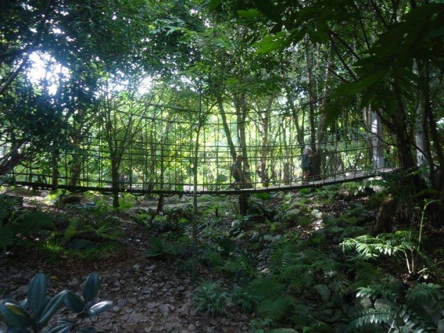 Botanic Gardens - Jacob Ballas Children's Garden