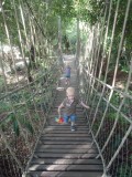 Botanic Gardens - Jacob Ballas Children's Garden