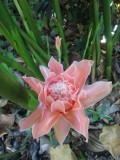 Botanic Gardens