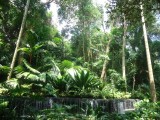 Botanic Gardens