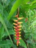 Botanic Gardens