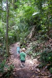 Bukit Timah Reserve