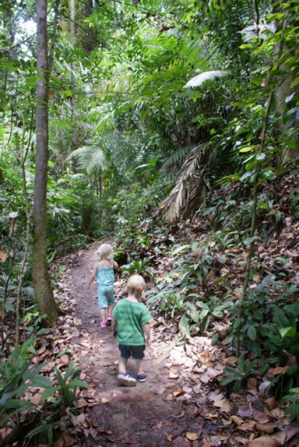 Bukit Timah Reserve