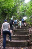 Bukit Timah Reserve - Op weg naar de hoogste berg van Singapore