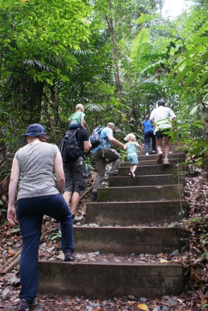 Bukit Timah Reserve - Op weg naar de hoogste berg van Singapore