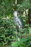 Jurong Bird Park