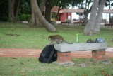 Kusu Island
