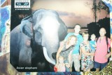 Night Safari