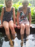 East Coast Parkway, Fish@Big Splash - Schoolreisje Lena, fish spa.