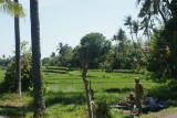 Bali - Straatfragment