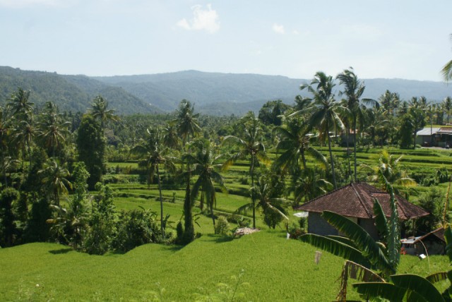 Bali - Uitzicht rijstvelden en bergen