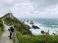 Nugget Point