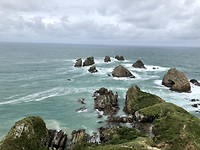 Nugget Point