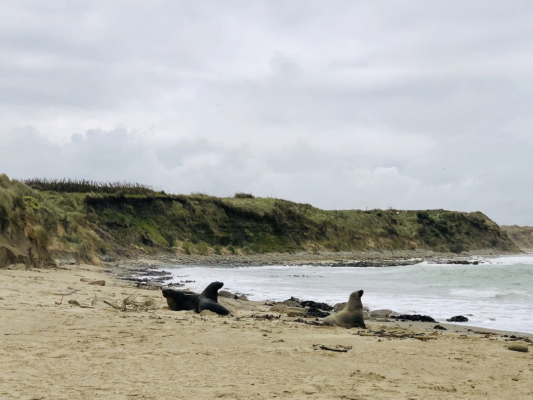 Waipapa Point