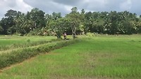 Fietsen in Unawatuna 25/12/2018