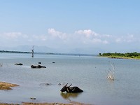 Udawalawe NP