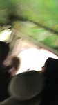 Buschauffeur Timo
