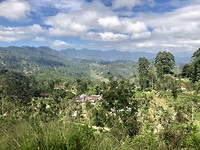 Uitzicht vanuit ons guesthouse in haputale
