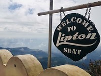 Lipton seat