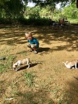 Timo de grote honden vriend in het resort van Tissa