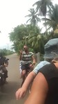 Fietstripje door de rijstvelden van Tissa