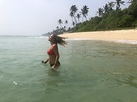 Polhena