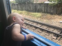 Enjoying the view