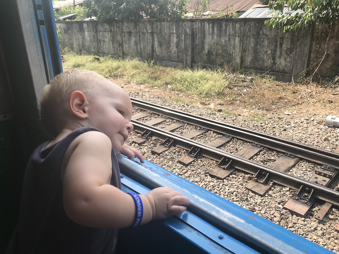 Enjoying the view