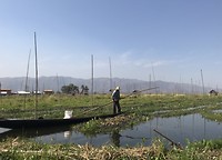 Ambachtswerk op het Inle Lake