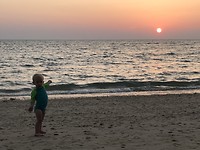 Onze zonliefhebber