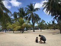 Slakjes zoeken op het strand van Siquijor