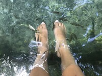Natural fish spa in Siquijor