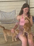 Knuffelen met de katten in het asiel
