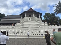 Tempel van de tand