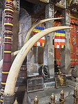 Tempel van de tand