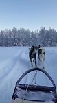 VID-20191226-WA0017