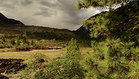 DSC01001