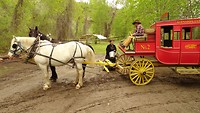 DSC00871